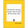 Witchcraft, Sorcery, Ghosts And Fetches Of The Irish Celts door Patrick Kennedy