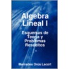 Algebra Lineal I - Esquemas De Teoria Y Problemas Resueltos door Mercedes Orus Lacort