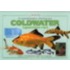 An Essential Guide To Choosing Your Coldwater Aquarium Fish