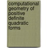 Computational Geometry Of Positive Definite Quadratic Forms door Achill Schurmann
