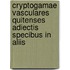 Cryptogamae Vasculares Quitenses Adiectis Specibus in Aliis