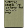 Destroying America - The Real Issues That Politicians Avoid door Chris Florio