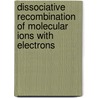 Dissociative Recombination of Molecular Ions with Electrons door Steven L. Guberman