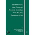 Harnessing And Guiding Social Capital For Rural Development