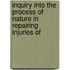Inquiry Into the Process of Nature in Repairing Injuries of