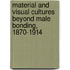Material And Visual Cultures Beyond Male Bonding, 1870-1914