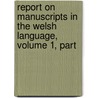 Report on Manuscripts in the Welsh Language, Volume 1, Part door William Robert Maurice Wynne