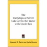 The Curlytops At Silver Lake Or On The Water With Uncle Ben by Howard Roger Garis