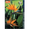 Travellers Canary Islands [with Free Cd With Website Links] door Paul Murphy