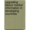 Upgrading Labour Market Information In Developing Countries by William L. Richter
