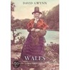 Wales From The Golden Age Of Picture Postcards Through Time door David Gwynn