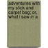 Adventures with My Stick and Carpet Bag; Or, What I Saw in A