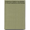 Anatomy of Labour as Studied in Frozen Sections, and Its Bea by Alexander Hugh Freeland Barbour