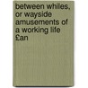 Between Whiles, or Wayside Amusements of a Working Life £An door Between Whiles