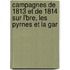 Campagnes de 1813 Et de 1814 Sur L'Bre, Les Pyrnes Et La Gar