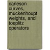 Carleson Curves, Muckenhoupt Weights, and Toeplitz Operators by Yuri I. Karlovich