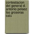 Contestacion del General D. Antonio Pelaez Las Groseras Calu