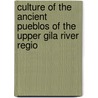 Culture of the Ancient Pueblos of the Upper Gila River Regio by Walter Hough