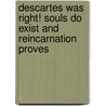 Descartes Was Right! Souls Do Exist and Reincarnation Proves door Casimir Bonk