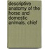 Descriptive Anatomy of the Horse and Domestic Animals. Chief