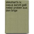 Ekkehart's Iv. Casus Sancti Galli Nebst Proben Aus Den Brige