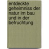 Entdeckte Geheimniss Der Natur Im Bau Und in Der Befruchtung by Christian Konrad Sprengel