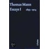 Essays 1. 1893-1914. Große kommentierte Frankfurter Ausgabe