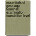 Essentials Of Gcse Aqa Terminal Examination Foundation Level