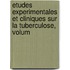 Etudes Experimentales Et Cliniques Sur La Tuberculose, Volum