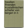 Fossilien Fhrenden Krystallinischen Schiefer Von Bergen in N door Richard Baldauf