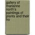 Gallery of Marianne North's Paintings of Plants and Their Ho
