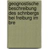 Geognostische Beschreibung Des Schnbergs Bei Freiburg Im Bre door Carl Fromherz