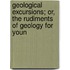 Geological Excursions; Or, the Rudiments of Geology for Youn