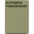 Surinaams insectenleven