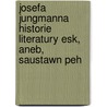 Josefa Jungmanna Historie Literatury Esk, Aneb, Saustawn Peh door V. Clav Vladivo Tomek