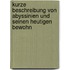 Kurze Beschreibung Von Abyssinien Und Seinen Heutigen Bewohn