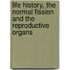 Life History, the Normal Fission and the Reproductive Organs
