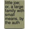 Little Joe; Or, a Large Family with Small Means, by the Auth by Joe