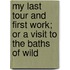 My Last Tour and First Work; Or a Visit to the Baths of Wild