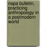 Napa Bulletin, Practicing Anthropology in a Postmodern World door Hon. Lord Reed