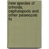 New Species of Crinoids, Cephalopods and Other Palaeozoic Fo
