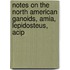 Notes on the North American Ganoids, Amia, Lepidosteus, Acip