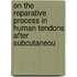 On the Reparative Process in Human Tendons After Subcutaneou