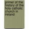 Primer of the History of the Holy Catholic Church in Ireland door Robert King
