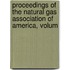 Proceedings of the Natural Gas Association of America, Volum