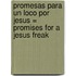 Promesas Para un Loco Por Jesus = Promises for a Jesus Freak