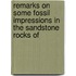 Remarks on Some Fossil Impressions in the Sandstone Rocks of