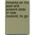 Remarks on the Past and Present State of New Zealand, Its Go