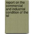 Report on the Commercial and Industrial Condition of the Isl