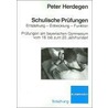 Schulische Prüfungen: Entstehung - Entwicklung - Funktionen door Peter Herdegen